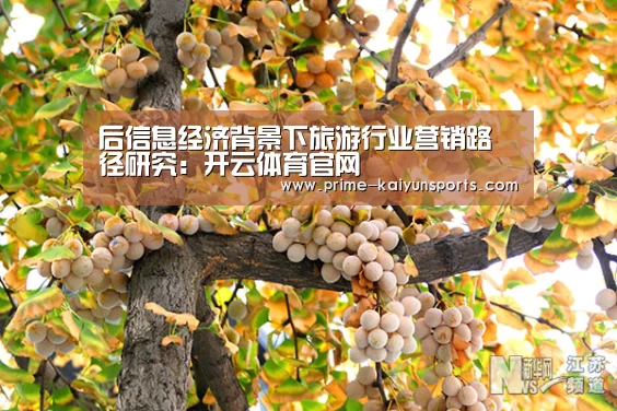 后信息经济背景下旅游行业营销路径研究:开云体育官网(图1) 开云体育稳定访问