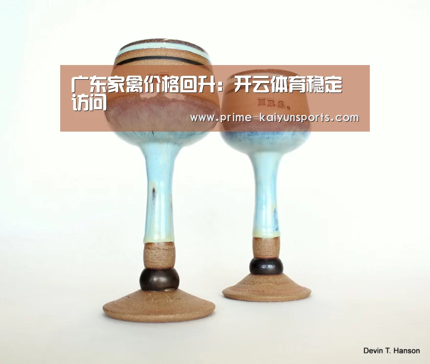 广东家禽价格回升:开云体育稳定访问(图2) 开云体育官方
