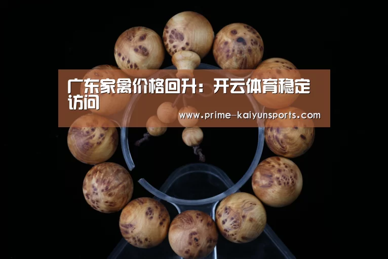 广东家禽价格回升:开云体育稳定访问(图3) 开云体育官网