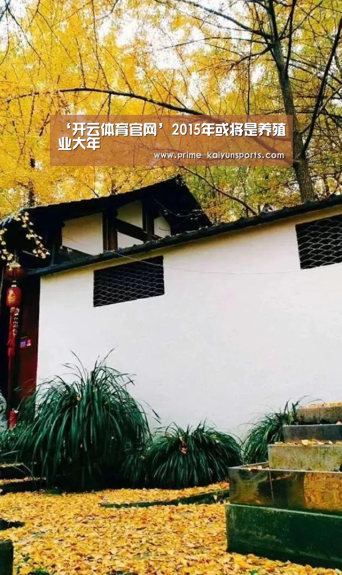 开云体育稳定访问