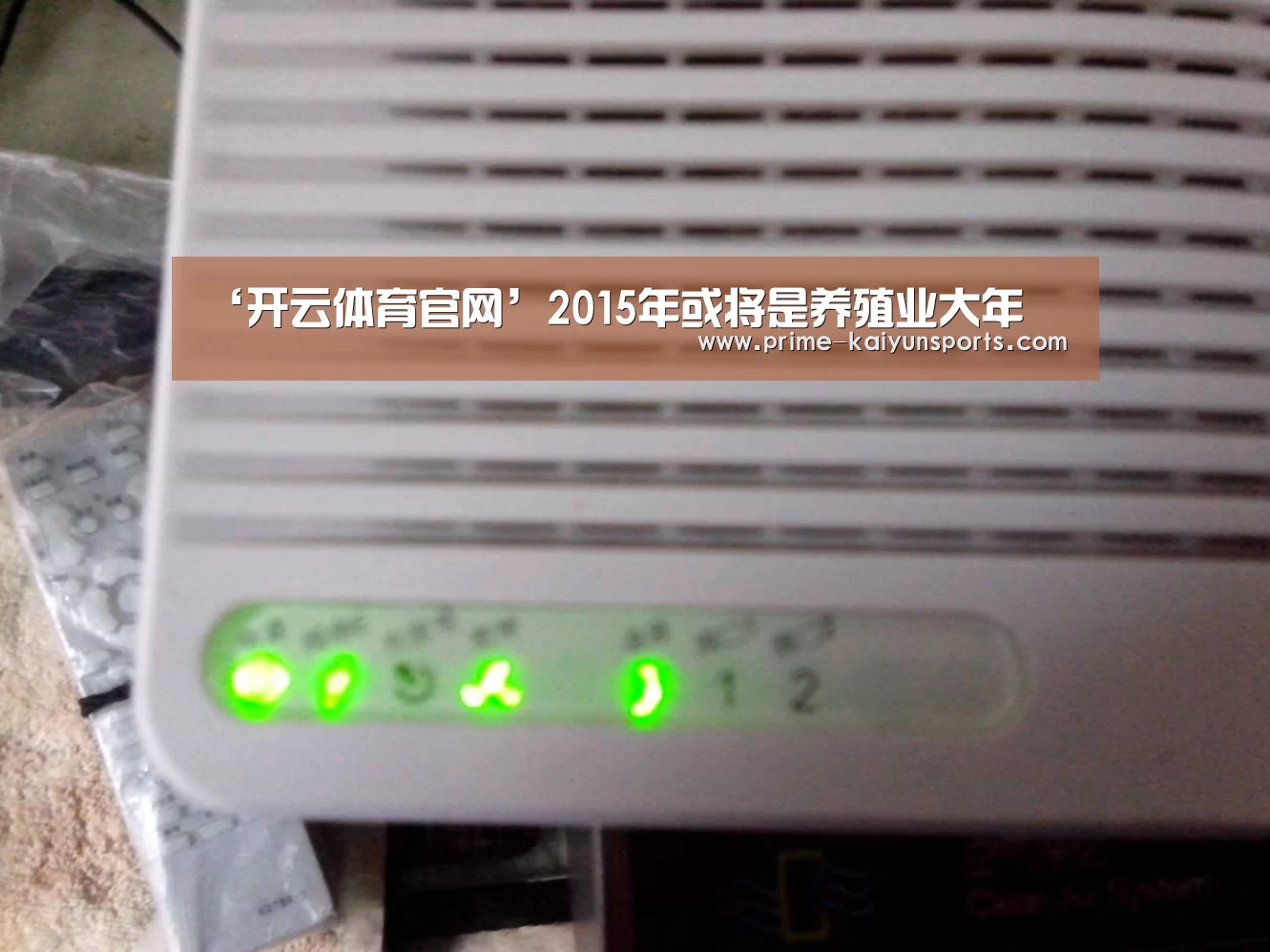 开云体育官网
