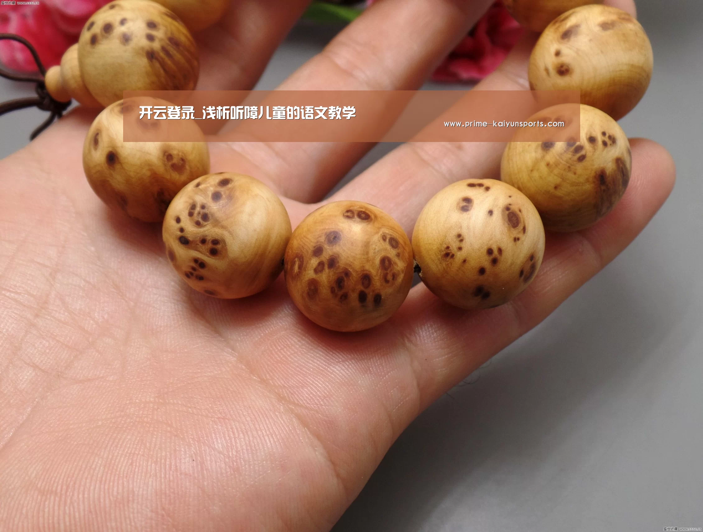 开云登录_浅析听障儿童的语文教学
