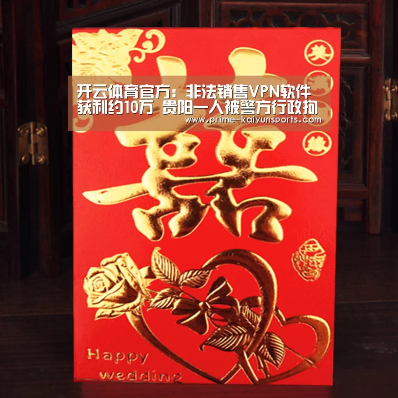 开云体育官方：非法销售VPN软件获利约1