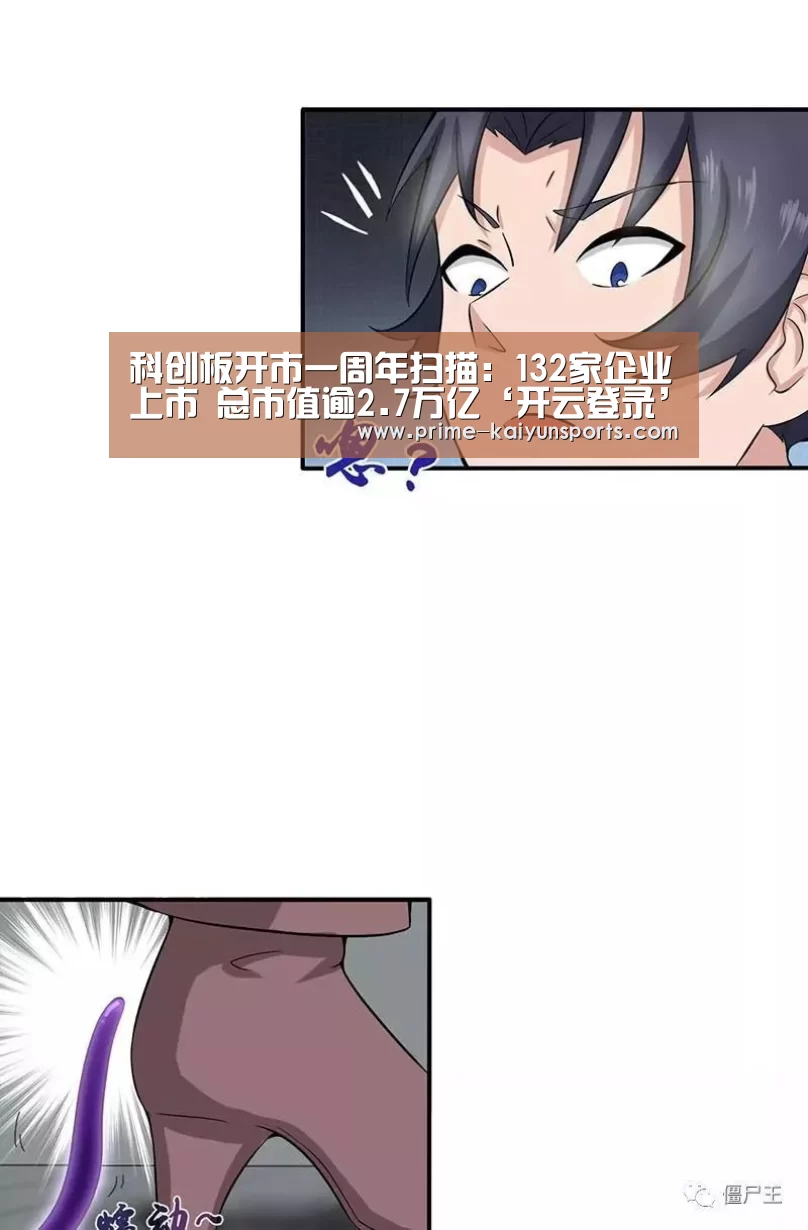 开云体育官方