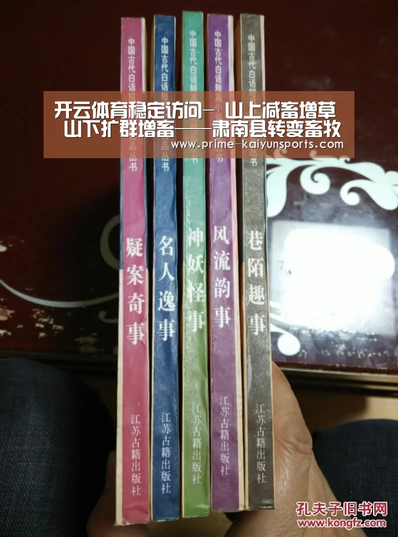 开云体育官方