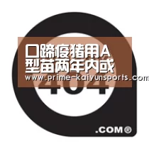 开云体育稳定访问