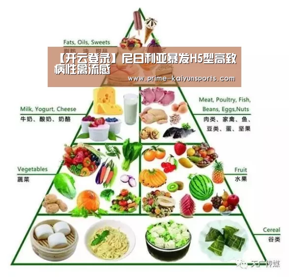 开云体育官网